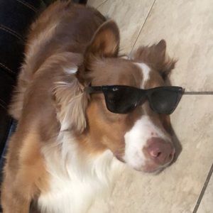 Meet your Posher, Chris